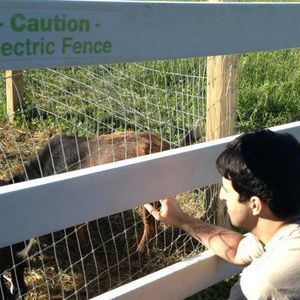 Meet your Posher, Anatoly